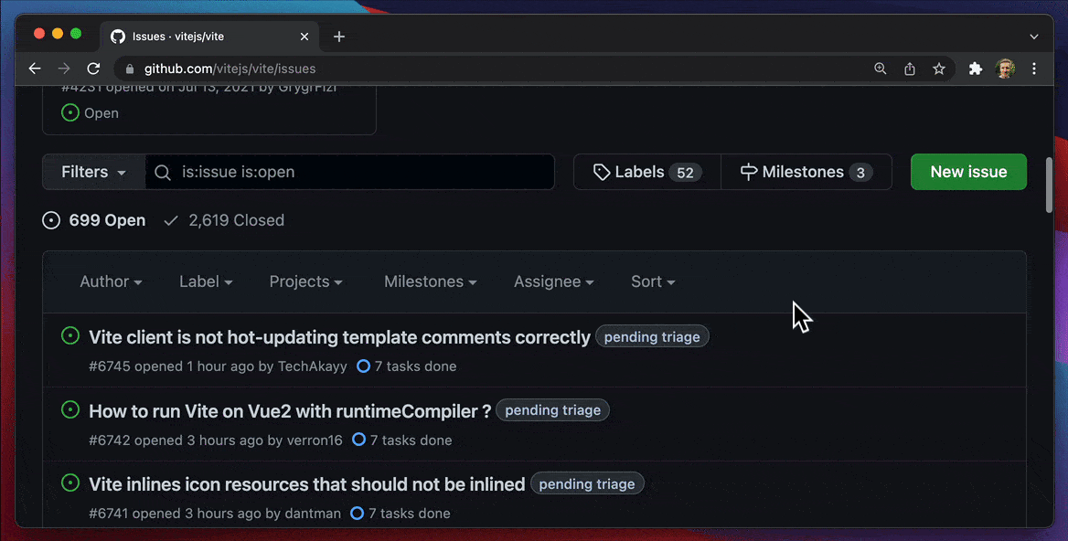 Filing an issue in Vite repository